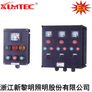 ZXF8044系列防爆防腐控制箱(IIC、Ex Td)